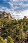 USA-New Mexico-Sandia Mountains-Mountain and forest landscape Art Print